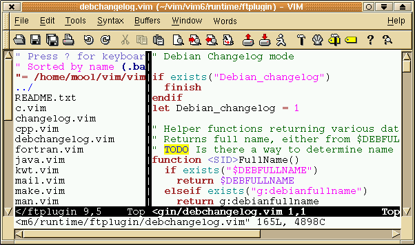 VIM Product Review